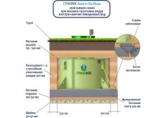 ГРИНЛОС Аква 10 Пр Миди