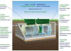 ГРИНЛОС Профи 8